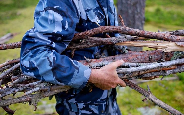 СБОР ВАЛЕЖНИКА ДЛЯ НУЖД ЧАСТНОГО ХОЗЯЙСТВА.