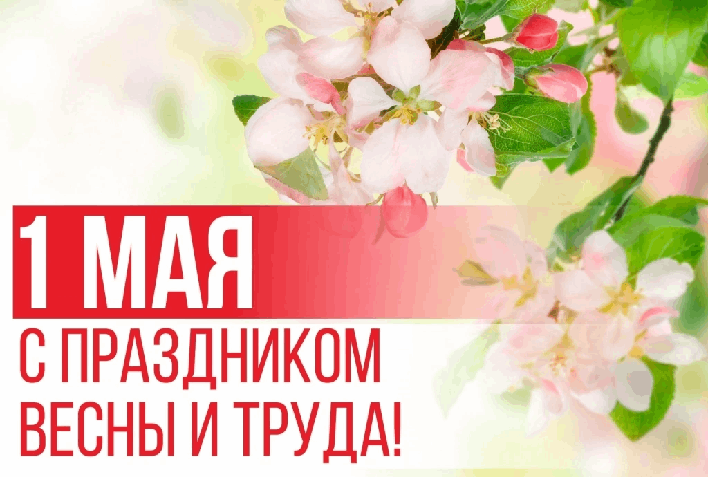 МЕРОПРИЯТИЯ К МАЙСКИМ ПРАЗДНИКАМ.