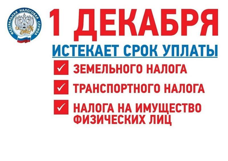 УПЛАТИ НАЛОГИ ДО 1 ДЕКАБРЯ.