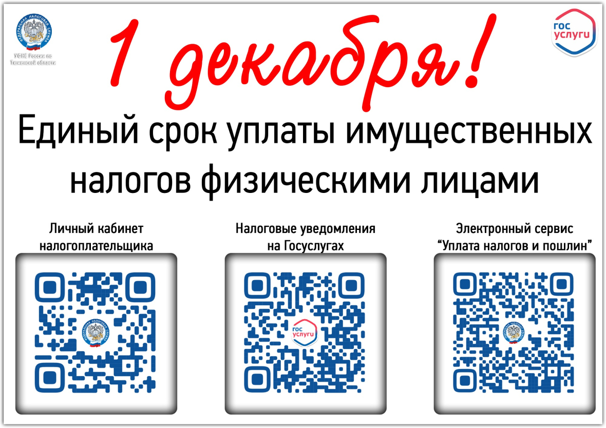 А ТЫ ЗАПЛАТИЛ НАЛОГ ДО 1 ДЕКАБРЯ?.