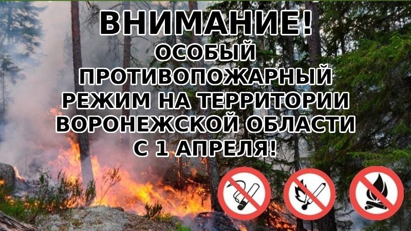 ВВЕДЕН ПРОТИВОПОЖАРНЫЙ РЕЖИМ С 1 АПРЕЛЯ.