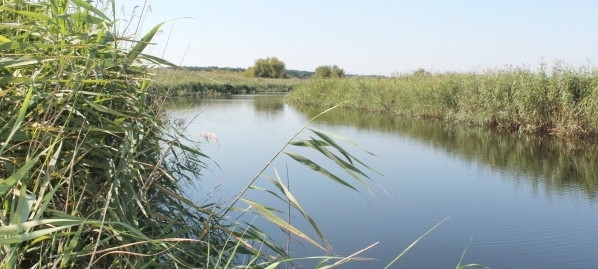 УЧАСТВУЮТ В КОНКУРСЕ &quot;РОДНЫЕ БЕРЕГА&quot;.