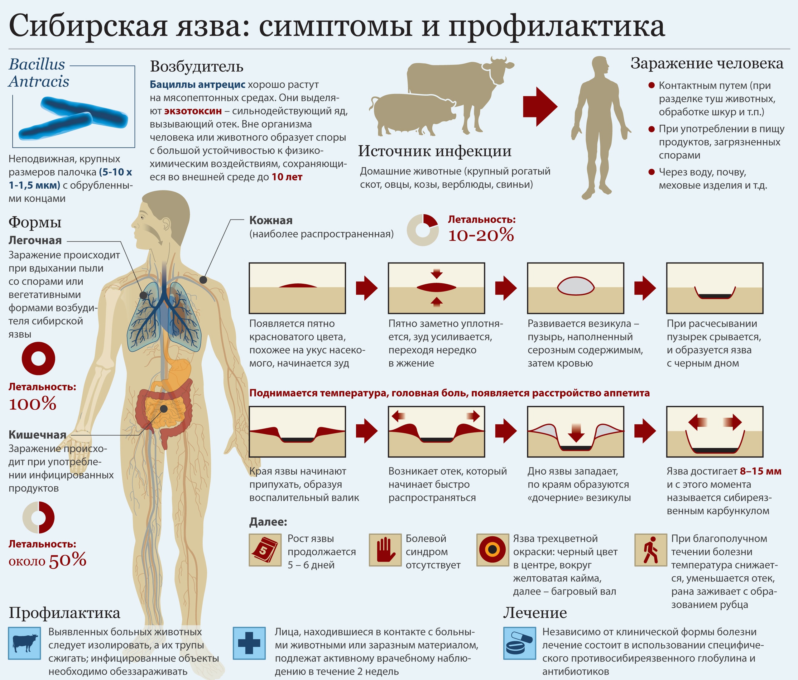 ВАКЦИНАЦИЯ ОТ СИБИРСКОЙ ЯЗВЫ.