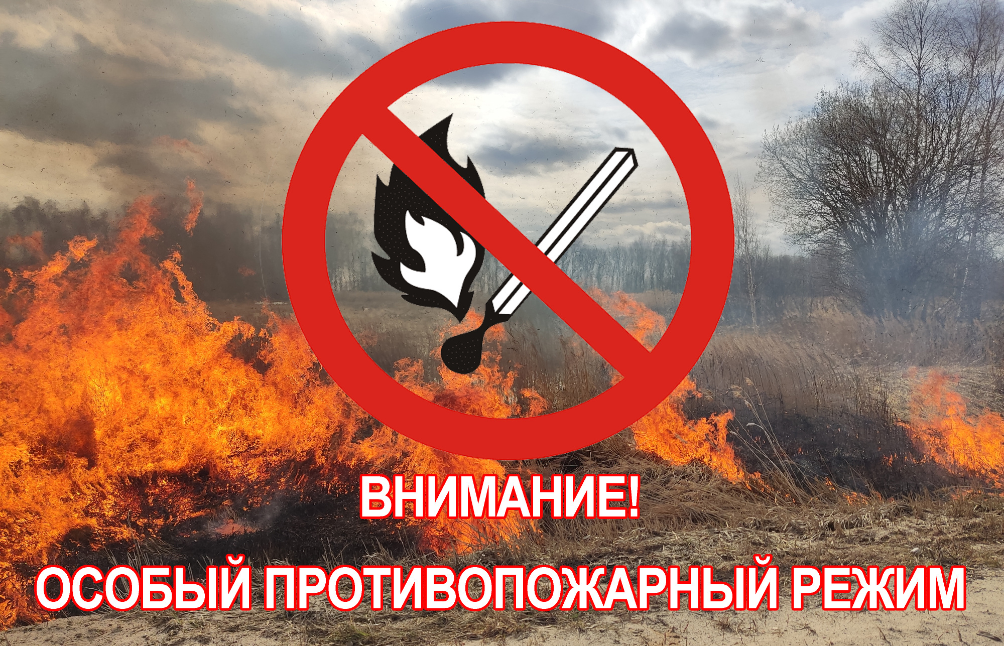 С 17 апреля 2023 на территории Воронежской области устанавливается особый противопожарный режим!.