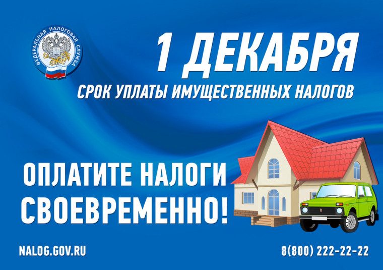 УПЛАТИ НАЛОГИ ДО 1 ДЕКАБРЯ. УПЛАТИ НАЛОГИ ДО 1 ДЕКАБРЯ.