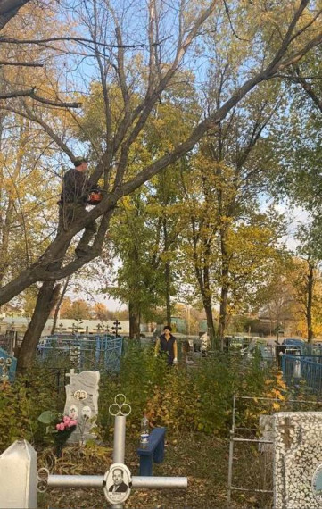 УБРАЛИ СУХИЕ ДЕРЕВЬЯ НА СТАРОМ КЛАДБИЩЕ. УБРАЛИ СУХИЕ ДЕРЕВЬЯ НА СТАРОМ КЛАДБИЩЕ.